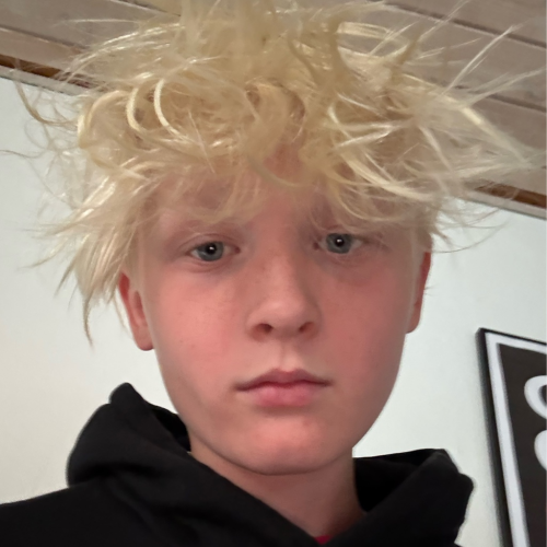profil