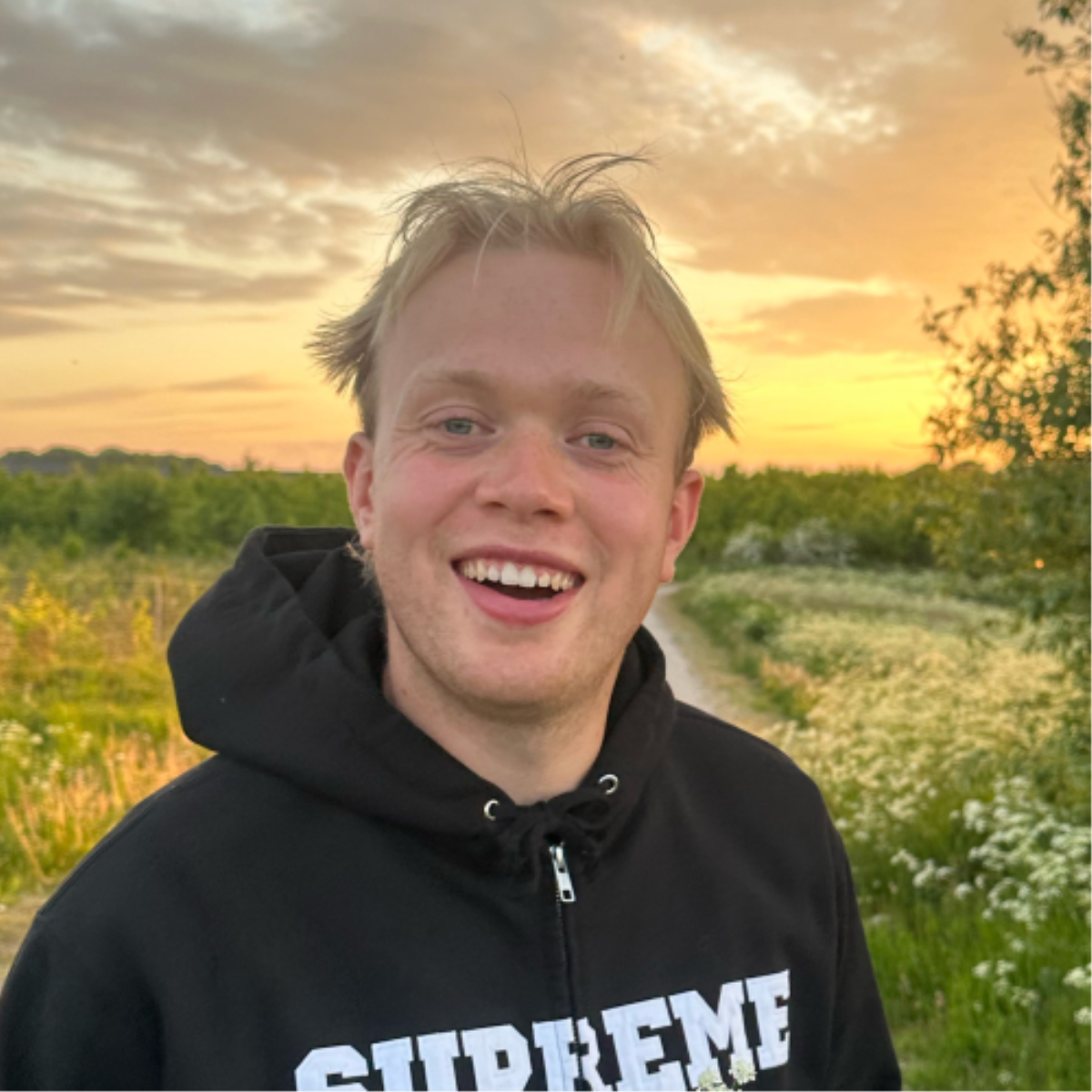profil